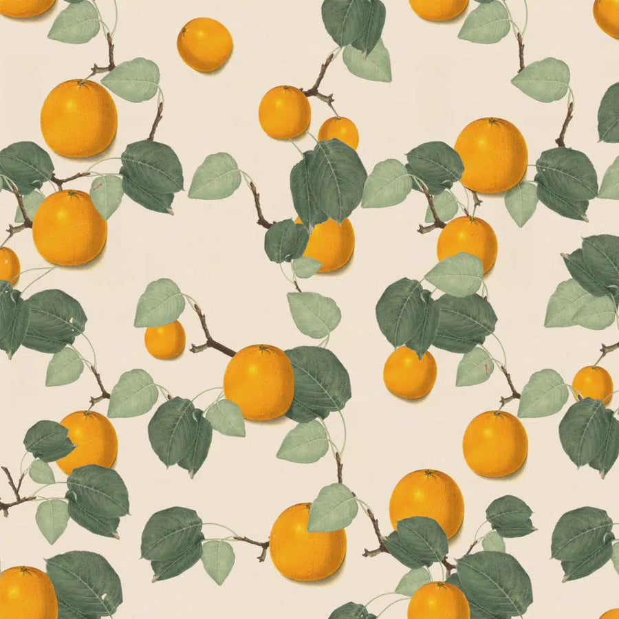 Kate-Taylor-Collective-Jennifer-Shorto-Oranges-Leaves-Wallpaper